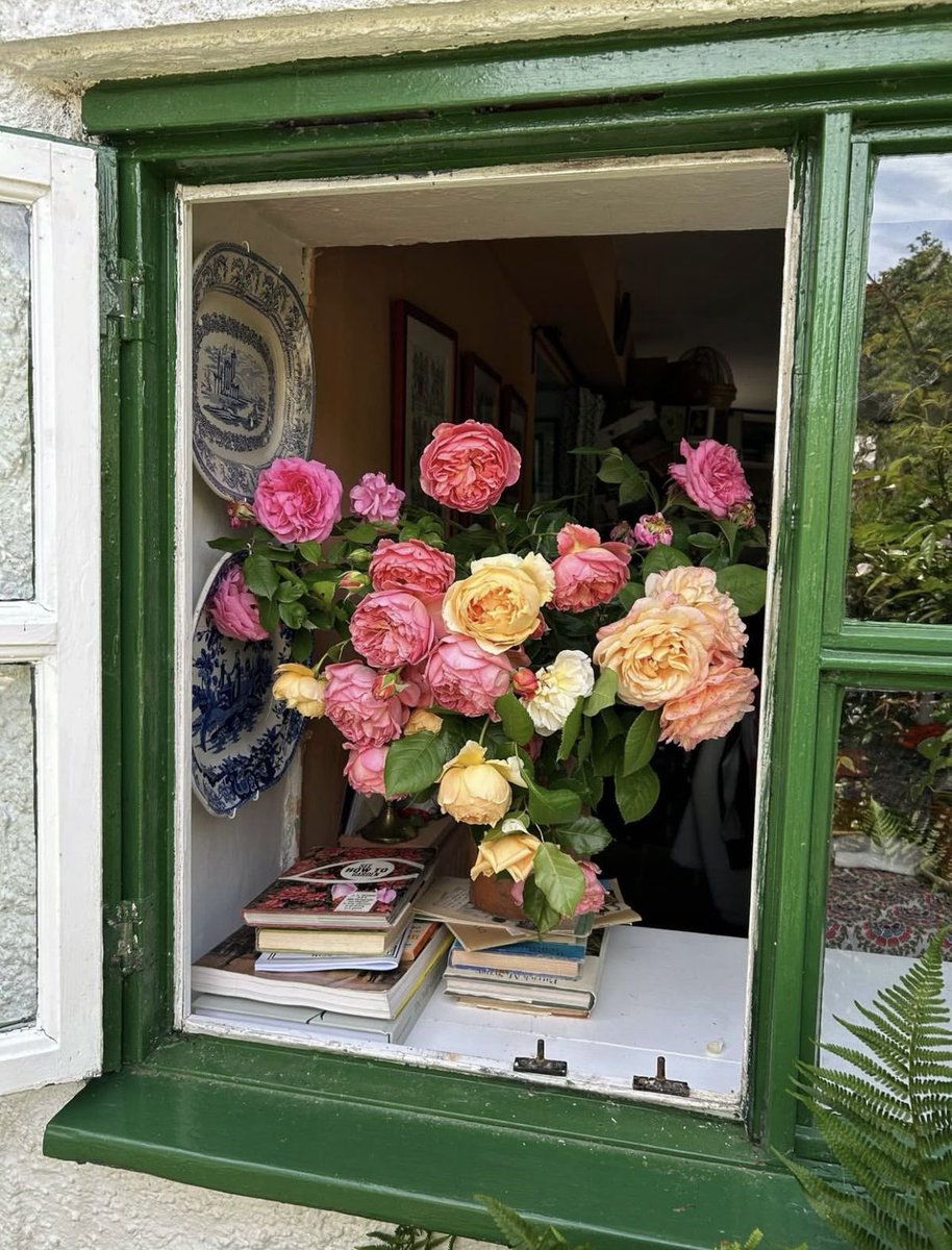 𝙈𝙖𝙧𝙮𝙧𝙤𝙨𝙚 (@moontides_) on Twitter photo 