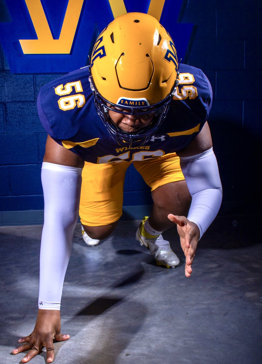 Lael Cook tweet media