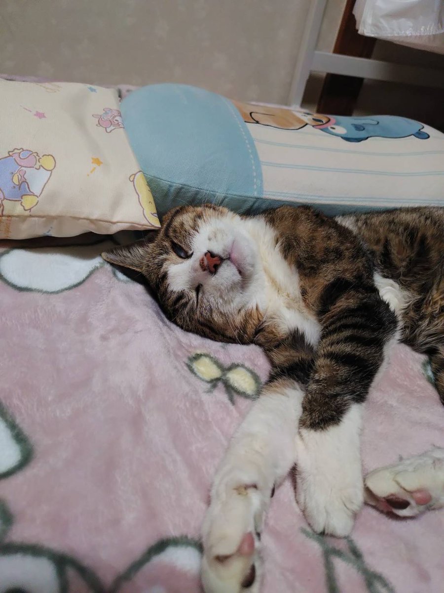 １枚目これが
２枚目になって
３枚目こうなった

白目は永田裕志だからダメよ、れいちゃん