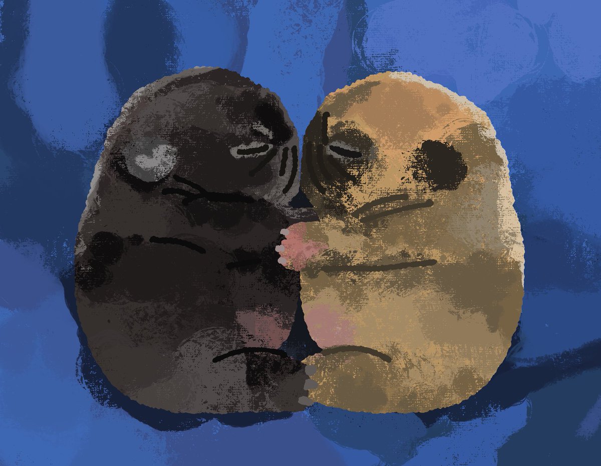 dontknow, nlp (@everythingrawy) on Twitter photo 