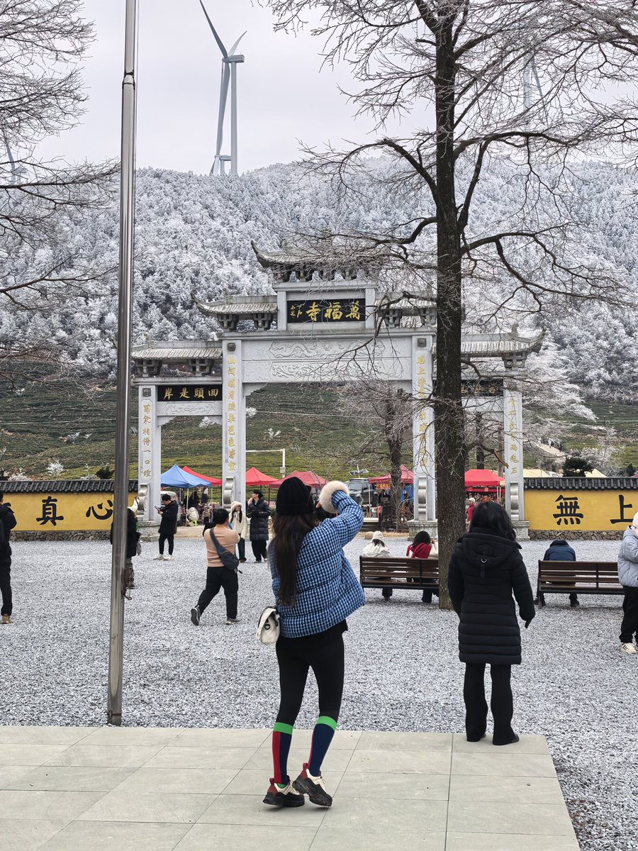 ludong's tweet photo. 驱车2小时看到的雾凇 https://t.co/7ZsN2XTiAW