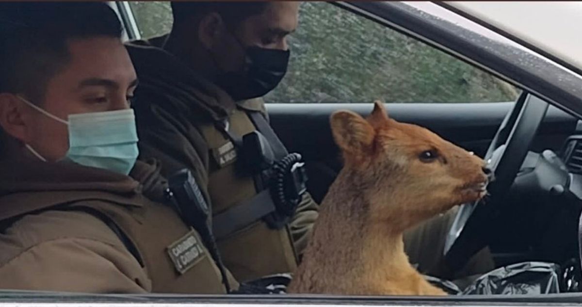 Artemental🌴18 tweet media