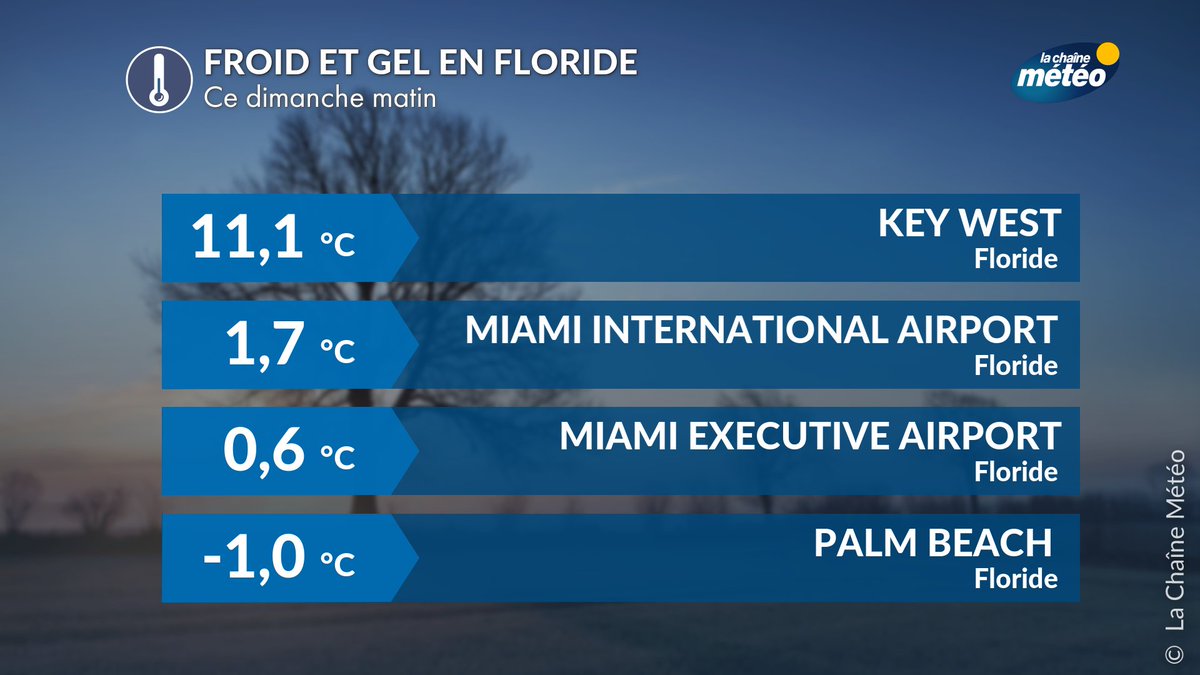 lachainemeteo's tweet image. 🌡️🥶La #Floride s’est réveillée dans le froid ce matin, avec du #gel observé localement jusque dans la banlieue de #Miami. À la station météo de référence, la température est toutefois restée positive, avec +1,7°C.
Nouvelle et dernière chance demain lundi : du #gel à la station
