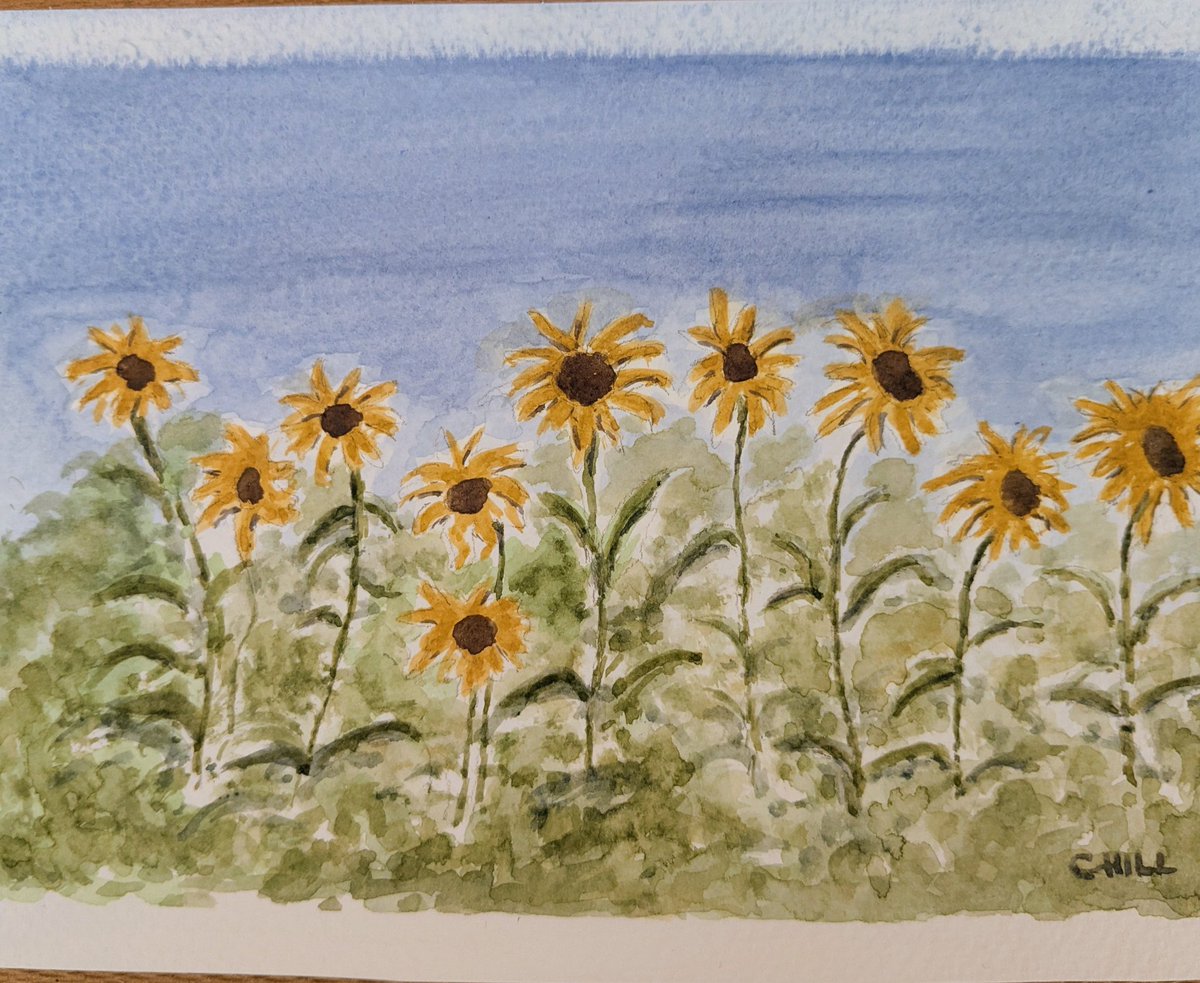 Claire Hill tweet media