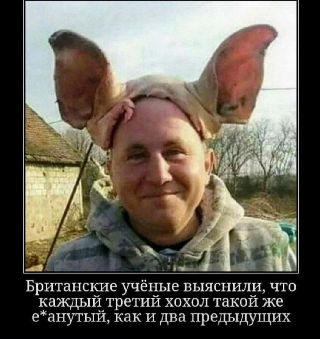 ALEKSANDR632930's tweet photo. @TOMKACCCP https://t.co/tYL724BK7g