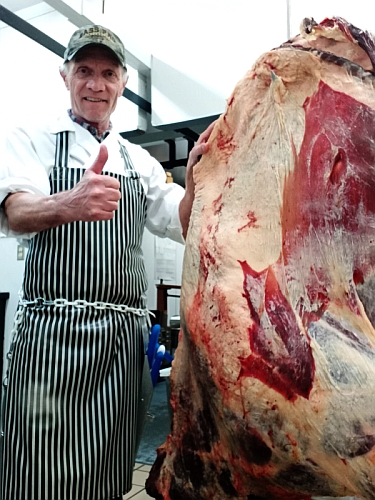 Processing a monster beef today, 945 lbs hanging weight.