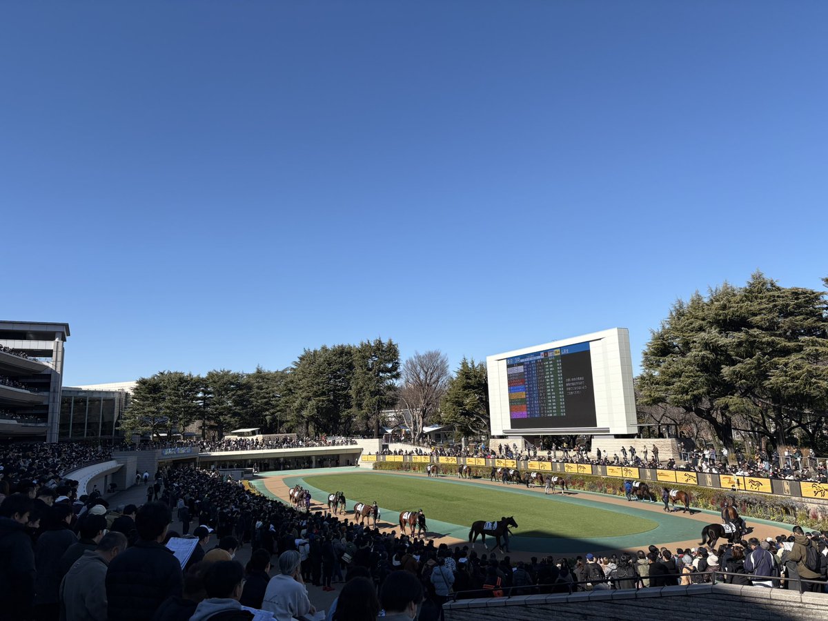 mada824112's tweet photo. 無料開放日ということで、体験してきました。スケール大きい‼︎老若男女楽しめるようになってます。これも推し活なんだね。ファンファーレ聞いた時はテンション上がってしまった😆
ここにも音楽のチカラ感じますね。
#競馬 #ファンファーレ #2026年  #午年 🐴 https://t.co/Gh3lVfHpNZ