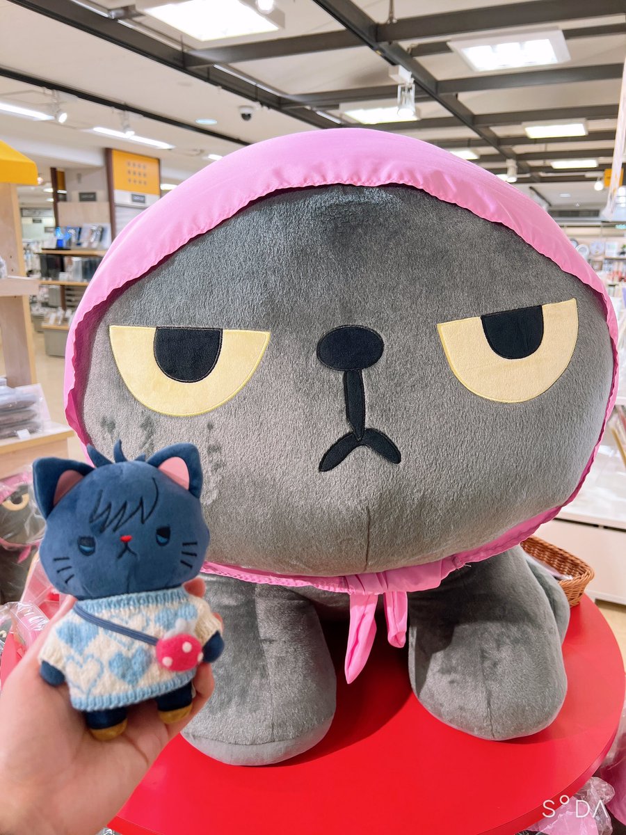 コン太郎 (@kontarotw) / Posts and Replies / X