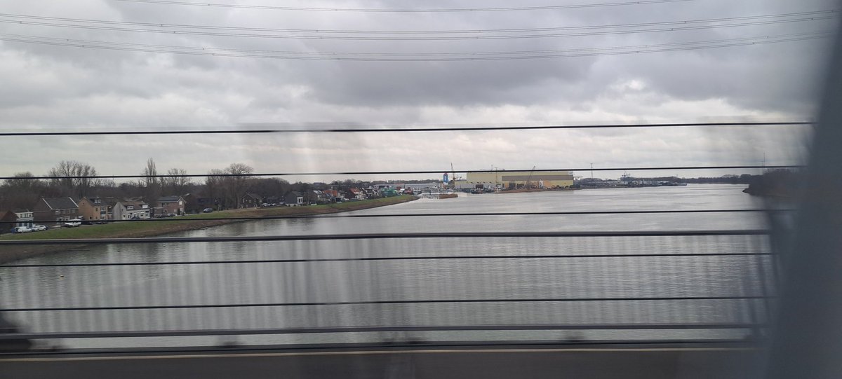 Matthijs Haak tweet media