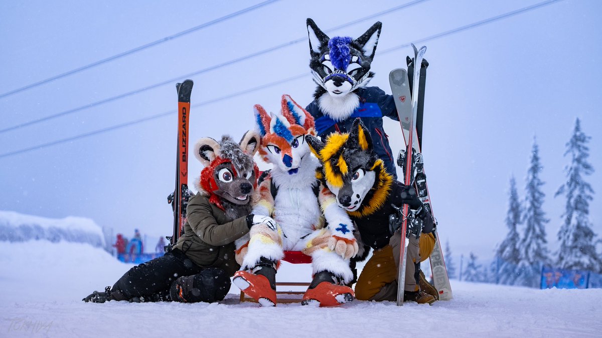 Scylla 🐺🐉🔜Thaitails tweet media