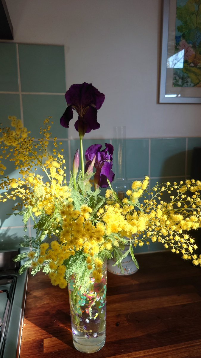 Rimiquen tweet media