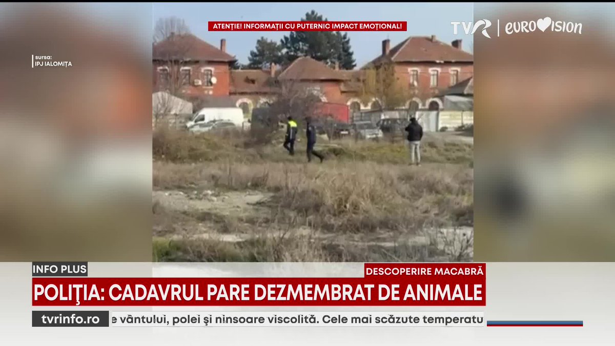 Rămășițele umane descoperite la marginea municipiului Slobozia aparţin unei femei de 75 de ani. Poliția: Cadavrul pare dezmembrat de animale tinyurl.com/yc8fyn3s