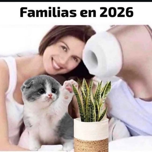 Mau (@karlelitax) on Twitter photo 