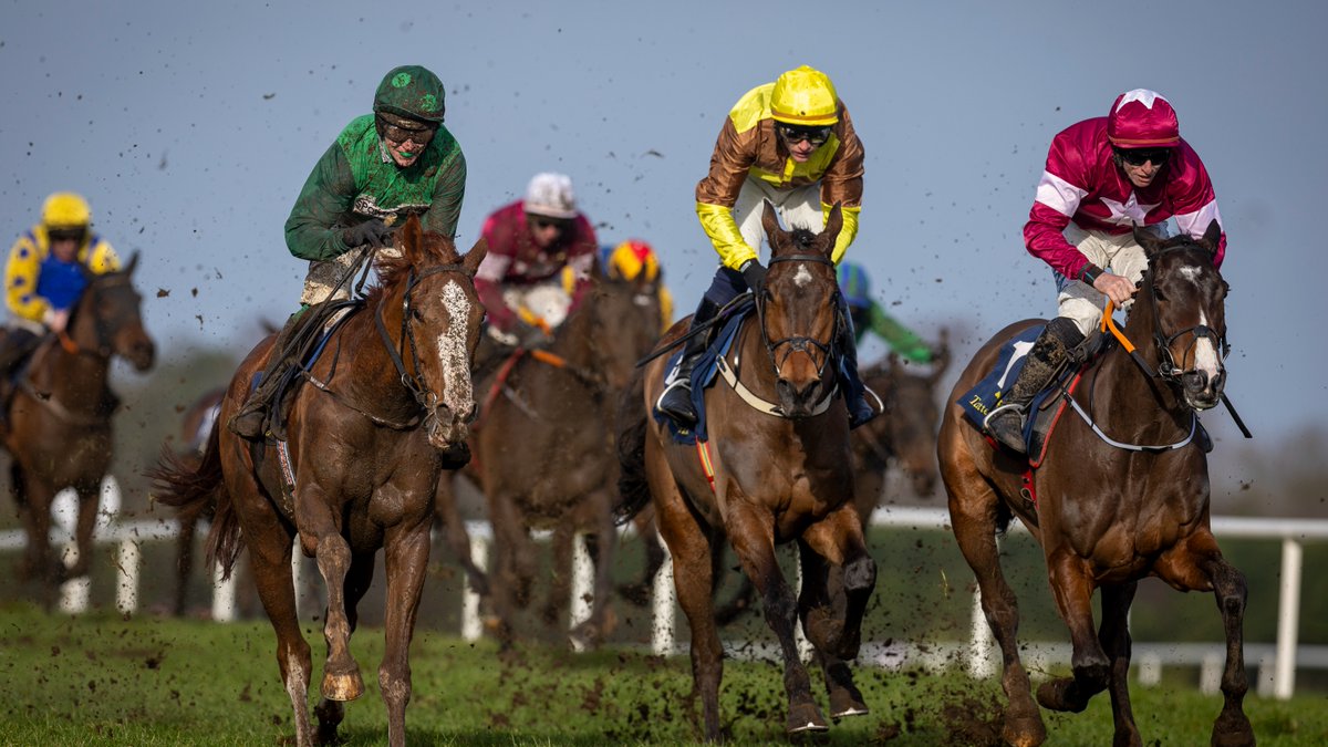 Horse Racing Ireland tweet media