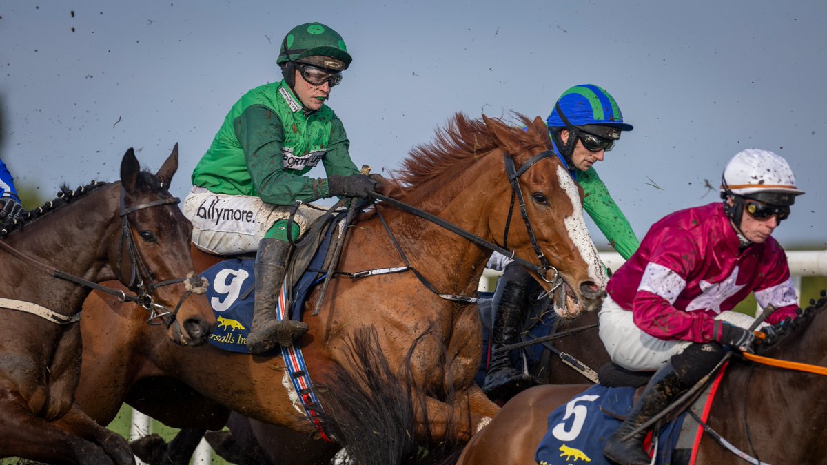 Horse Racing Ireland tweet media