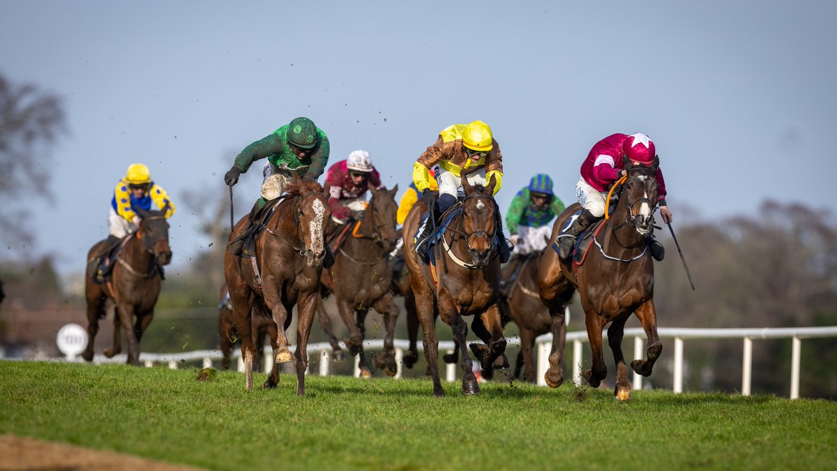 Horse Racing Ireland tweet media