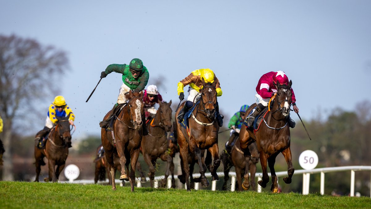 Horse Racing Ireland tweet media