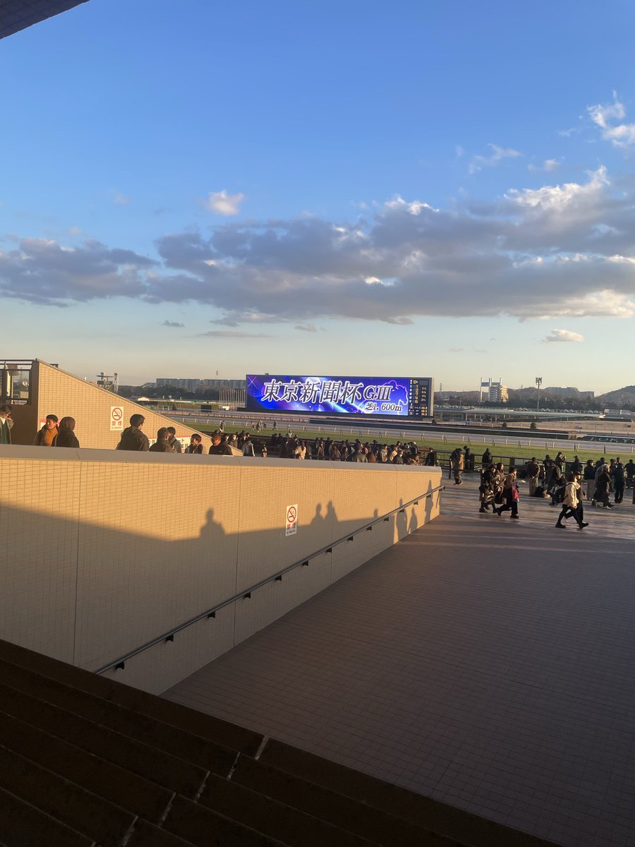 hachi8150's tweet photo. 東京競馬場よかった、負けたけどよかった😌 https://t.co/ju9UQBFHXx