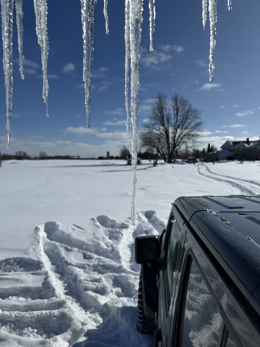 Mike Ianni-Palarchio tweet media