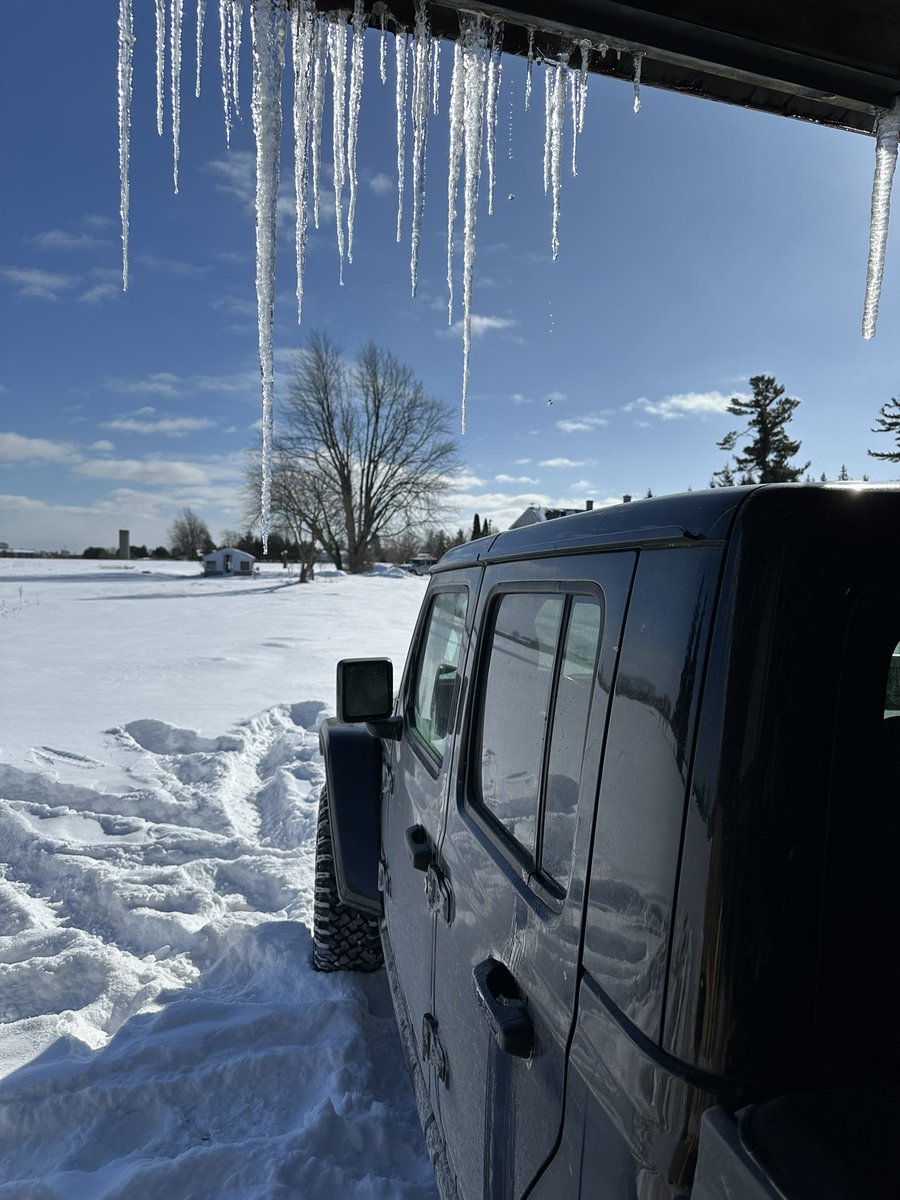 Mike Ianni-Palarchio tweet media