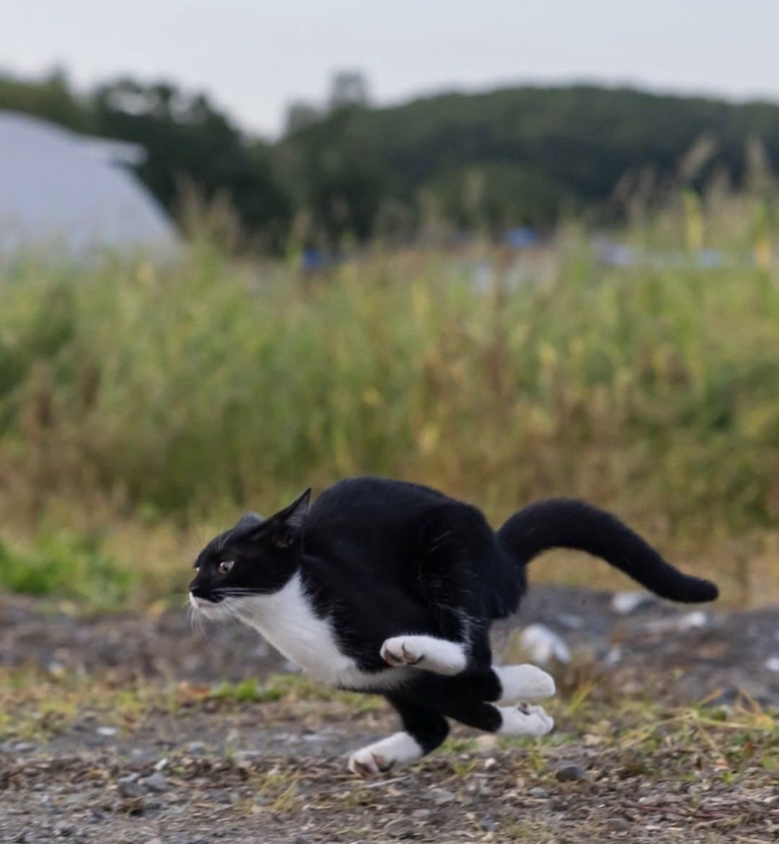 14Quatorze's tweet image. Más imágenes de #Filou esta vez captado por un radar de la DGT en la AP7