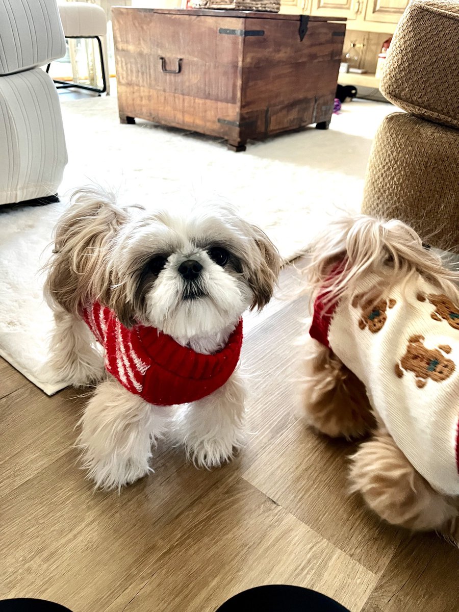 beth 🔬🧬🥼🇺🇸 tweet media