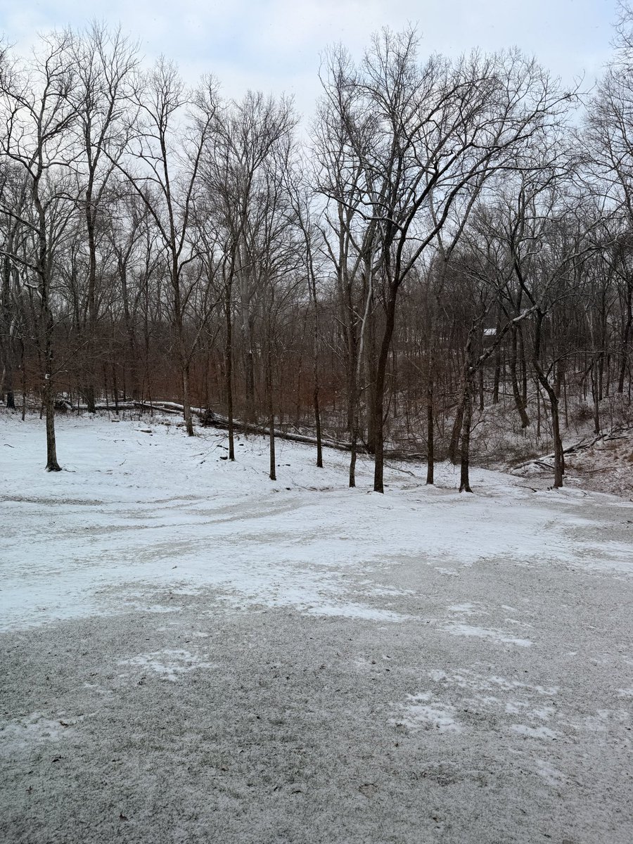 SMedsker's tweet photo. @NashSevereWx @Java_Nick Yep.  Maybe not an inch yet.  But covered again.  Fieldstone https://t.co/WkQYacxFwm