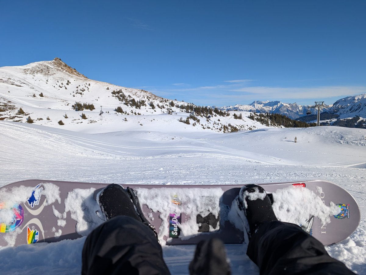 Ryius @NFC🚵‍♂️ tweet media