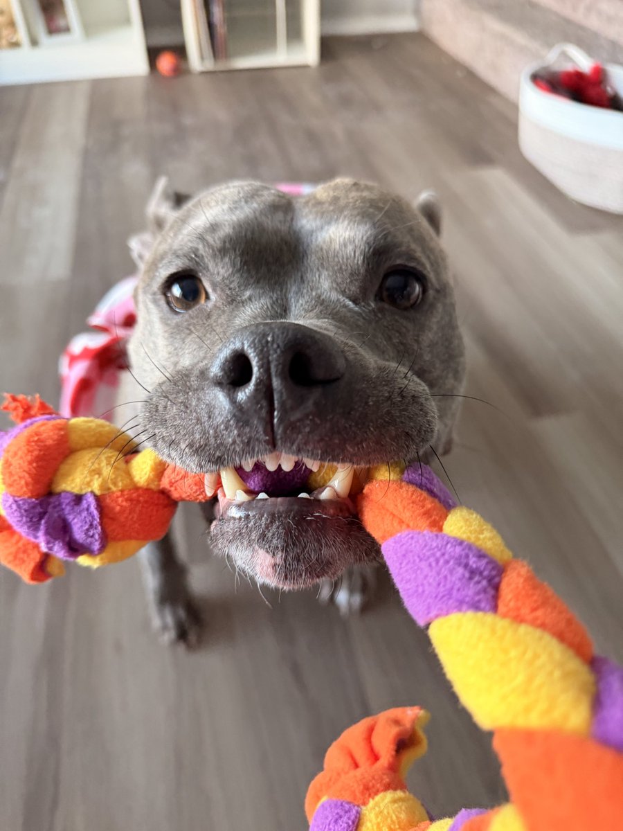 molly jean ( goodest gorl 🍉) tweet media