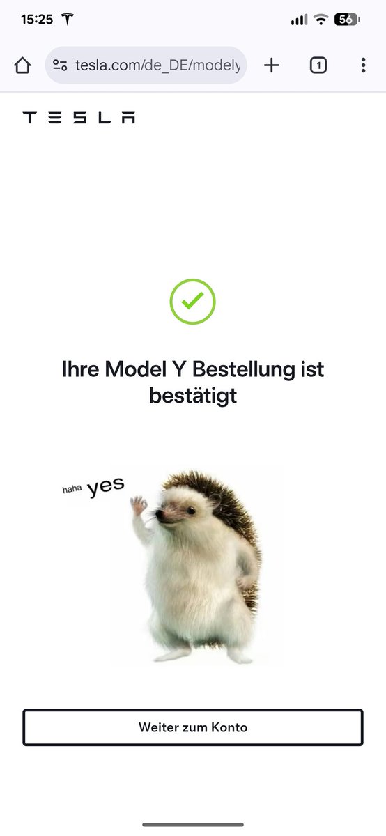 Robin Knapp tweet media