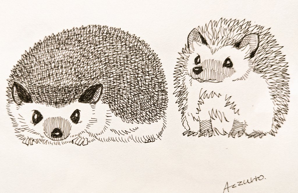 今日は何の日 #今日はなんの日 #ハリネズミの日 #ハリネズミ #Azzurro