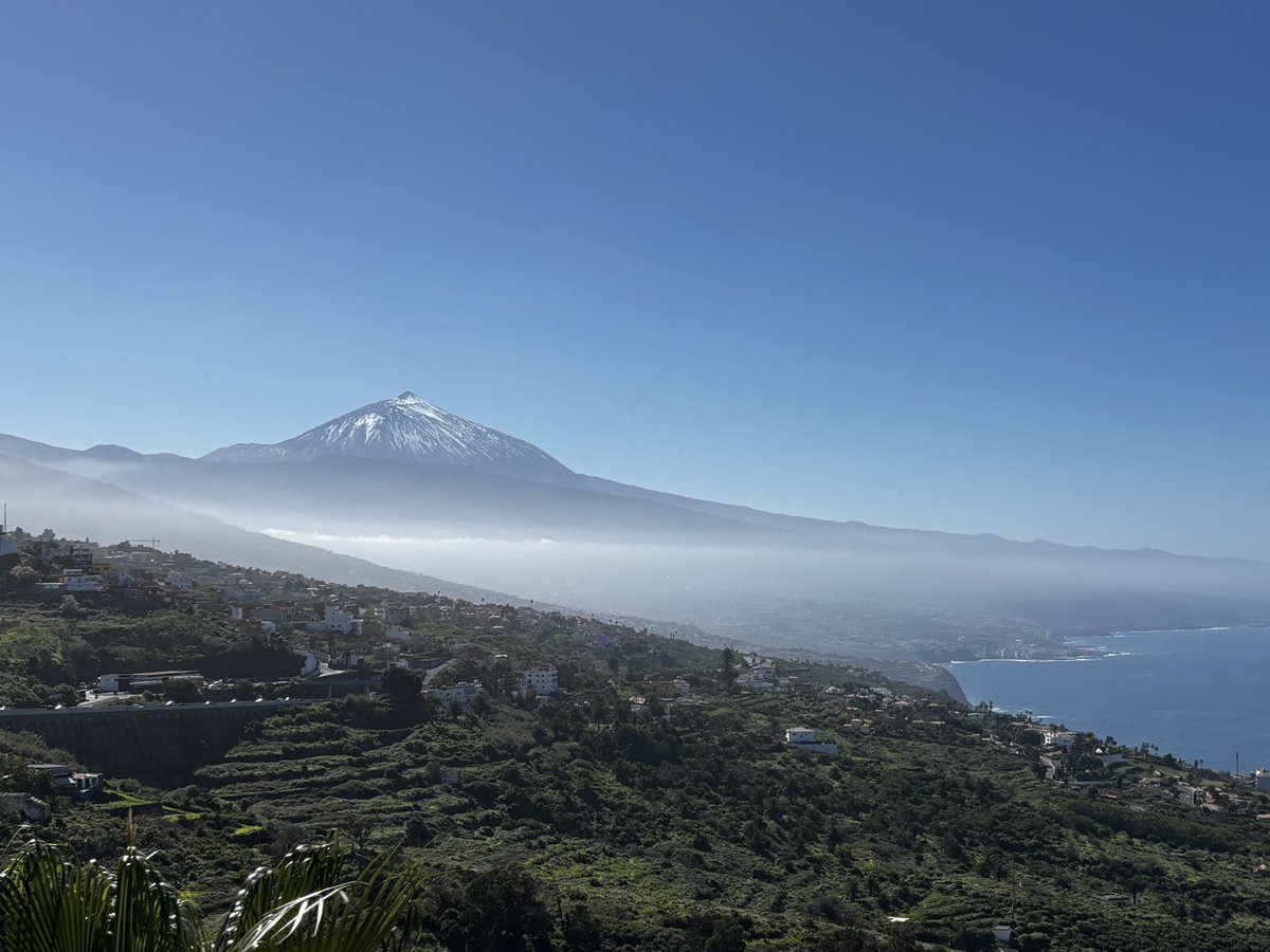 ElojodeSantaCruz tweet media