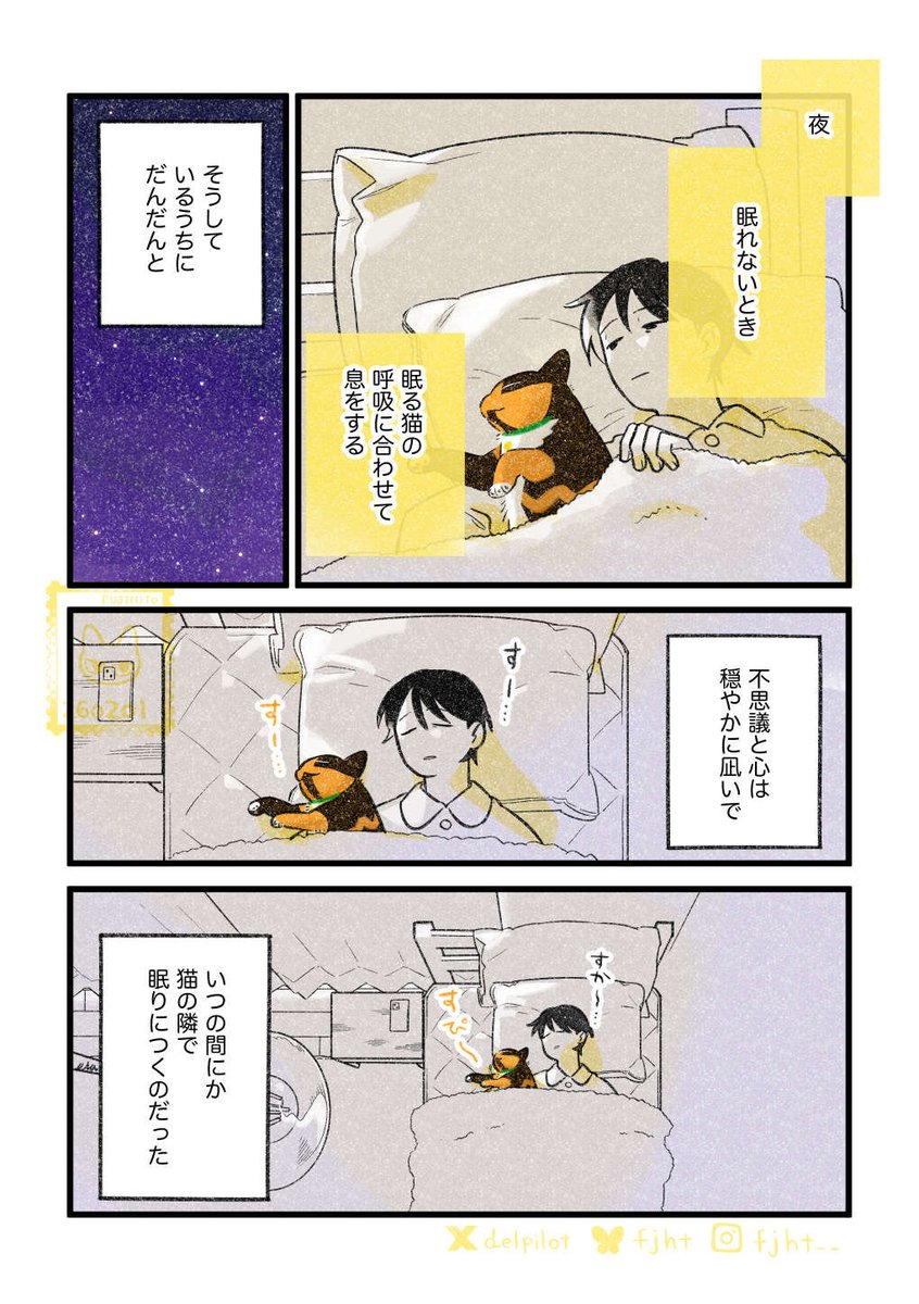 眠れない夜と猫