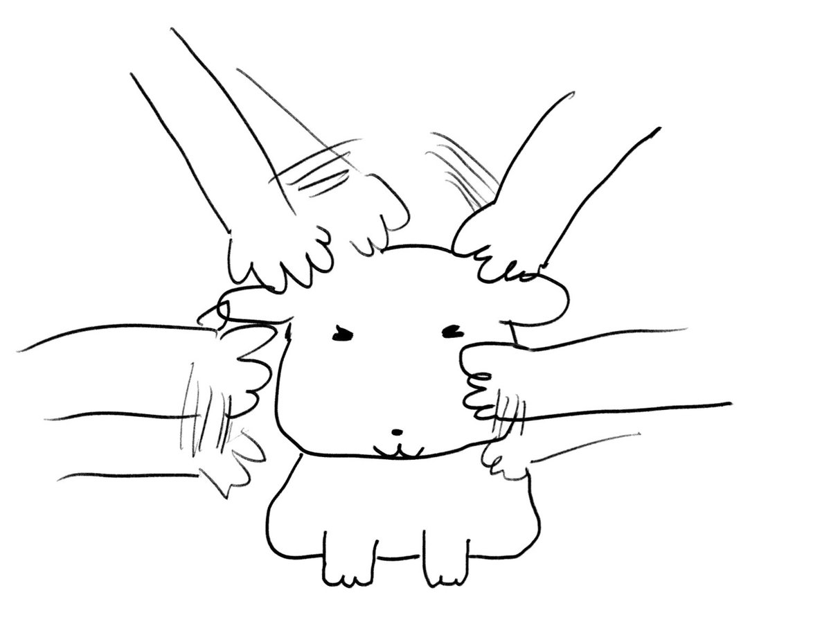 뿌찌 tweet media