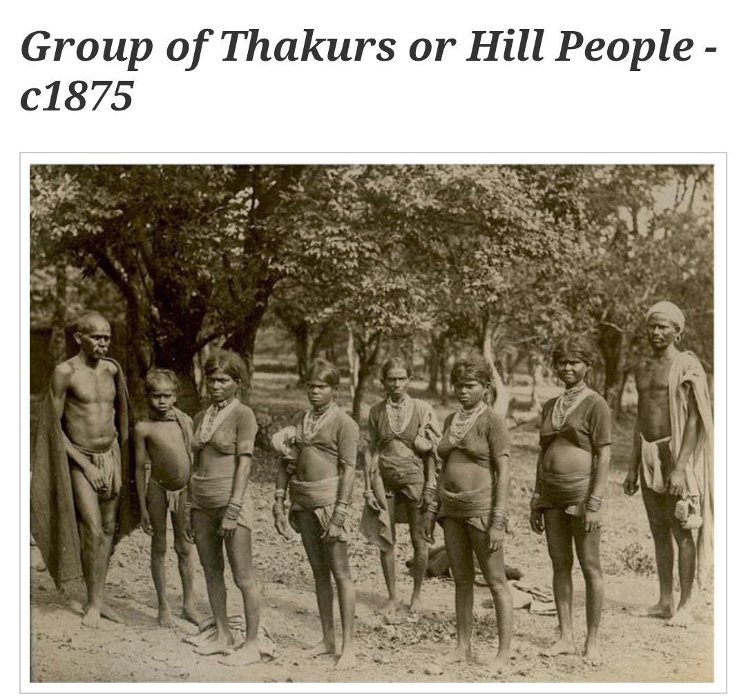 Dhāḍībhaṇḍaka tweet media