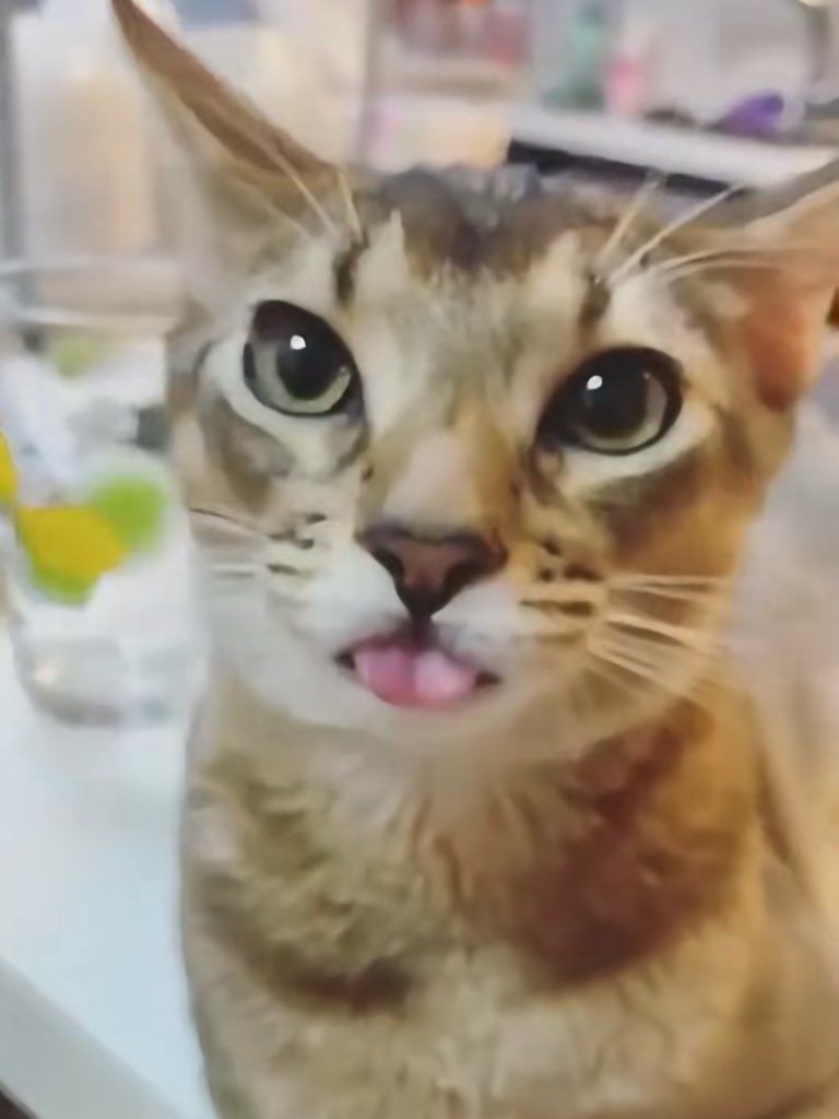 260201 SMTOWN FUKUOKA

100% inherited 😽👅

#TENLEE #tenlee_1001 
#TEN #텐 #เตนล์ #李永钦
#SMTOWN_LIVE_FUKUOKA