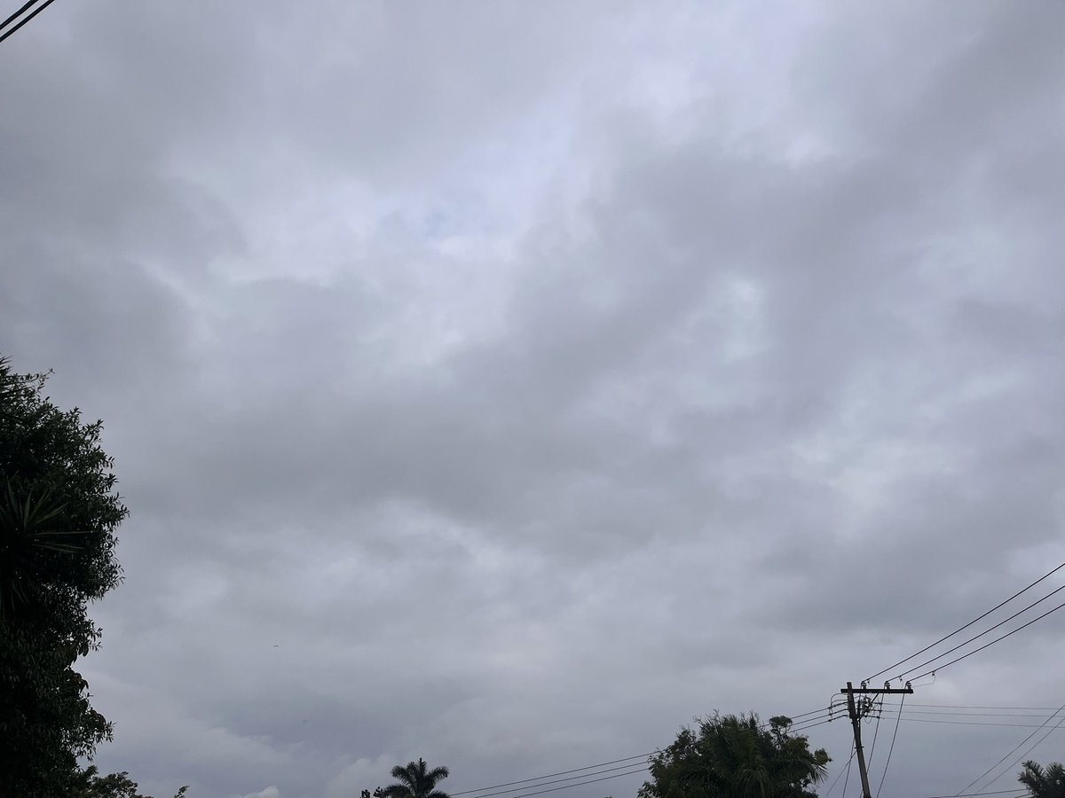 Buenos y lluviosos días