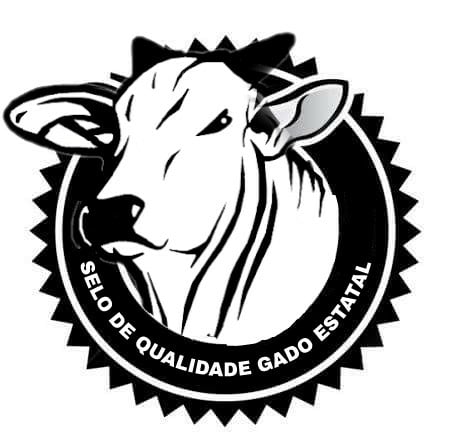 Moço Você é Socialista tweet media