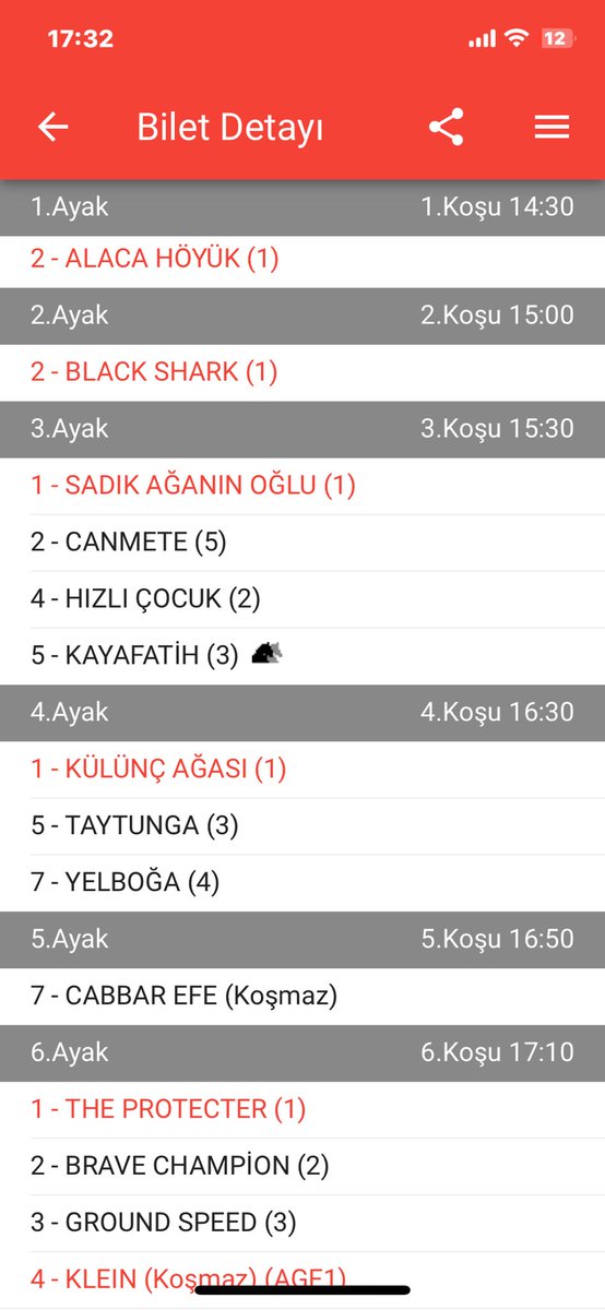 Yaktın bizi TJK