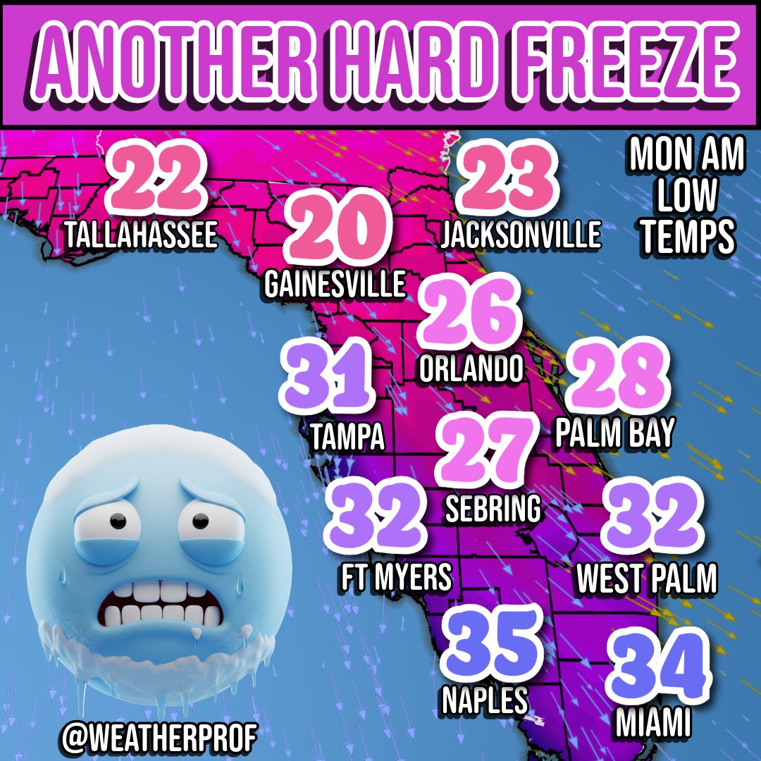 WeatherProf's tweet image. Another long duration hard freeze tonight and this another sleepness night for farmers. Much less wind. 
Same drill: drip faucets. Take pets and sensitive plants inside. #freeze #florida #cold 🥶