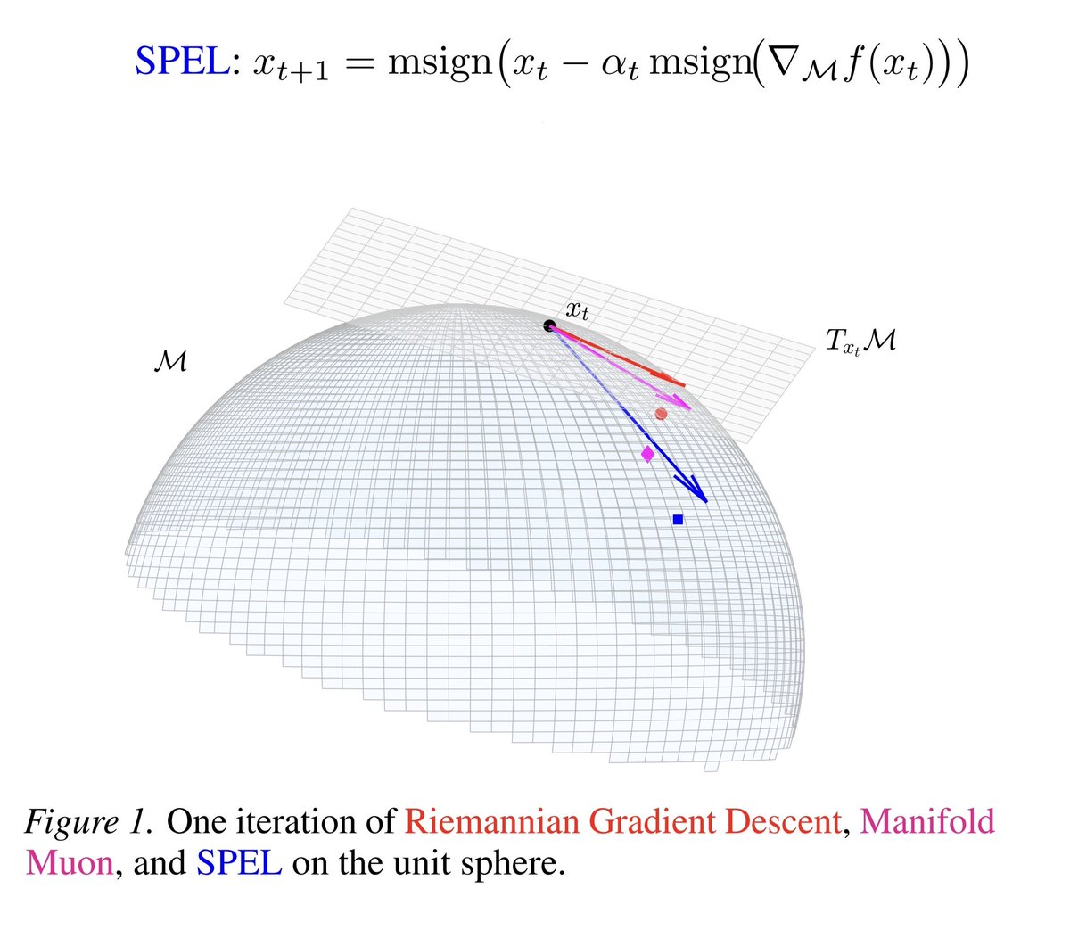 lailexiao's tweet photo. SPEL: MCSD with spectral norm on the Stiefel manifold. An analogue of Muon on Stiefel manifold, using efficient implements of msign. Unlike many manifold optimizers whose descent directions are on the tangent space, SPEL allows an ambient descent direction before projection. https://t.co/gZsBJzE0gM