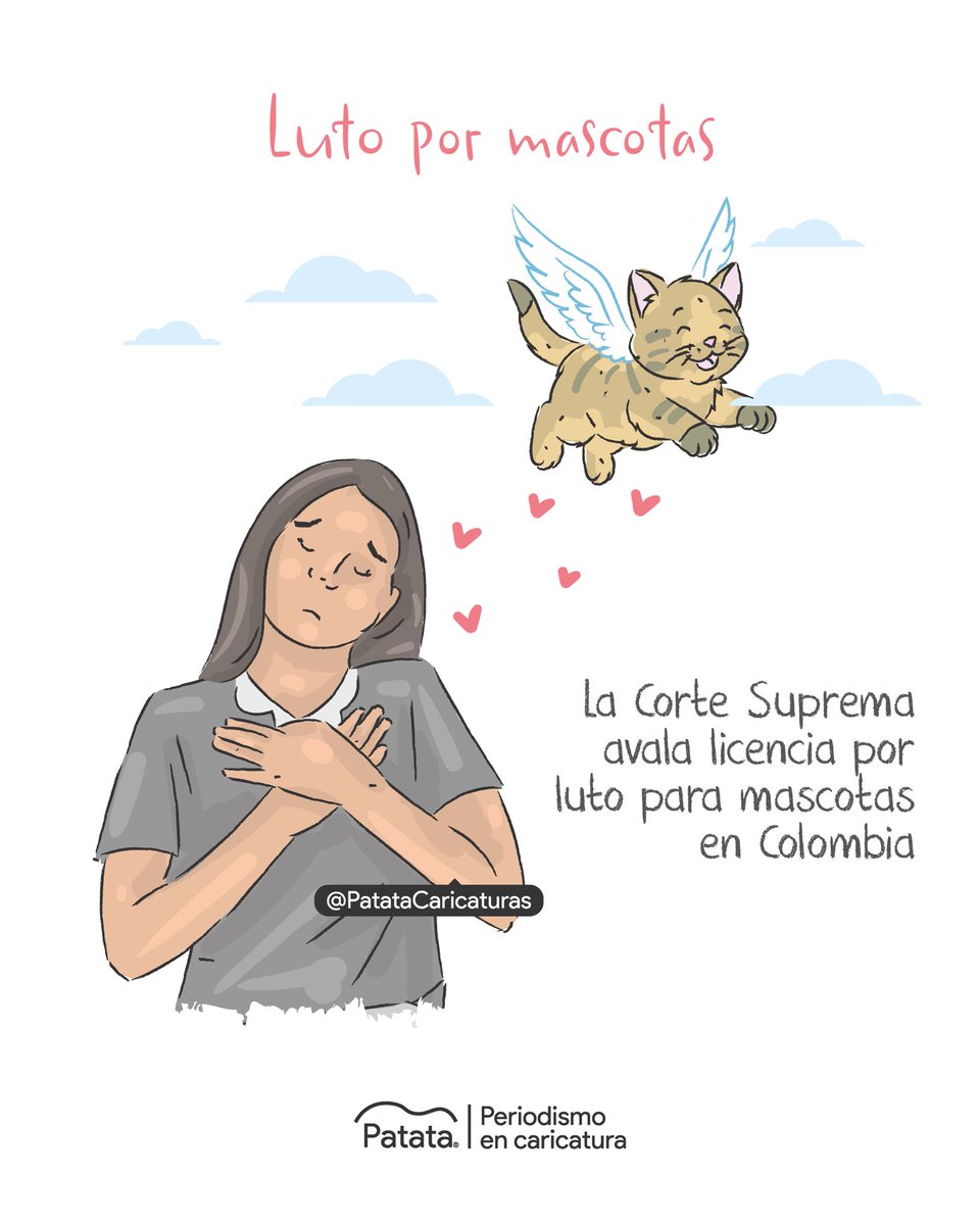 Patata Caricaturas tweet media