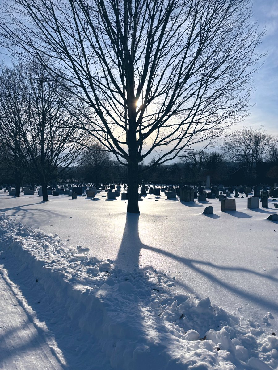 Quite the snow fields at Congressional Cemetery this morning <a href="/capitalweather/">Capital Weather Gang</a>