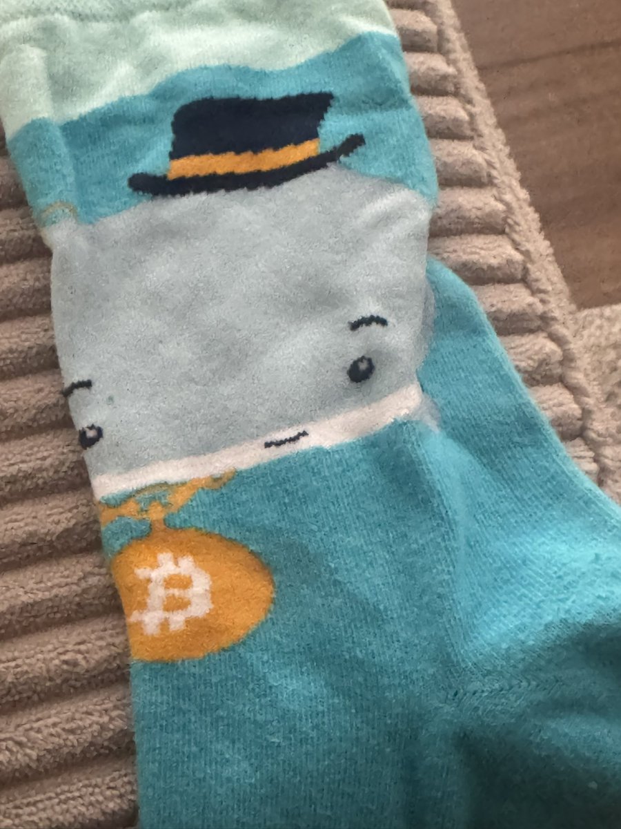 Hailey Lennon tweet media