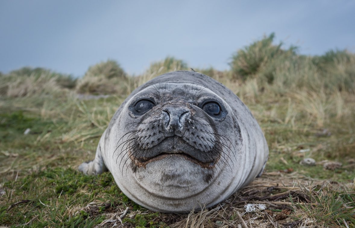 ElGata! (@laserutouettal) on Twitter photo 