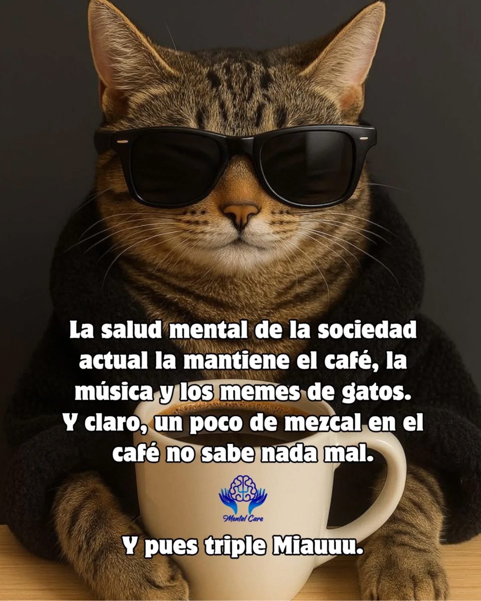 daphnella's tweet photo. Buenos días https://t.co/3RbOdJWAc4