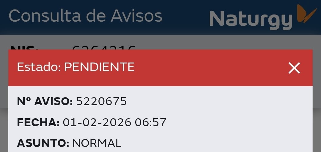 Alisa Exline tweet media