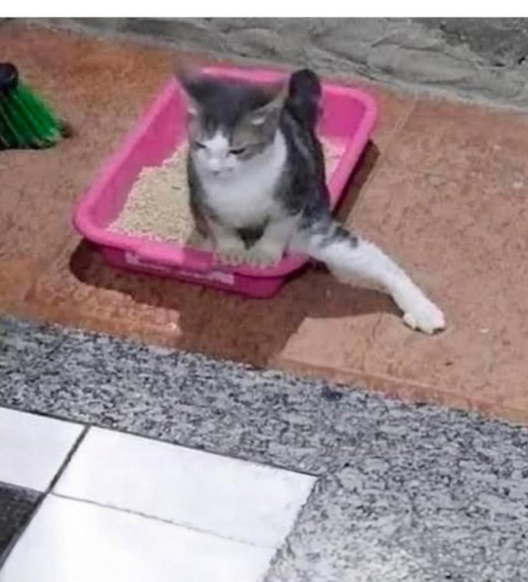 Cuando vas a un baño público y la puerta no cierra. 😂