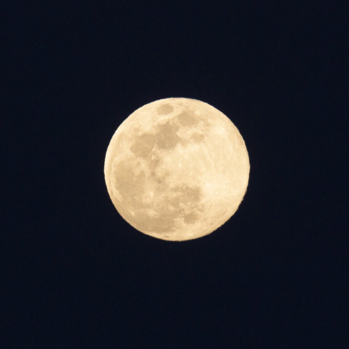 Tonight is the Full Snow Moon!