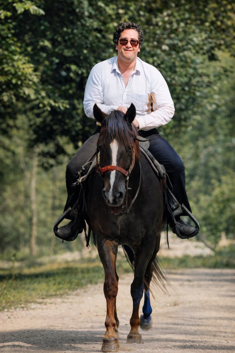 Sabato D’Angelo tweet media